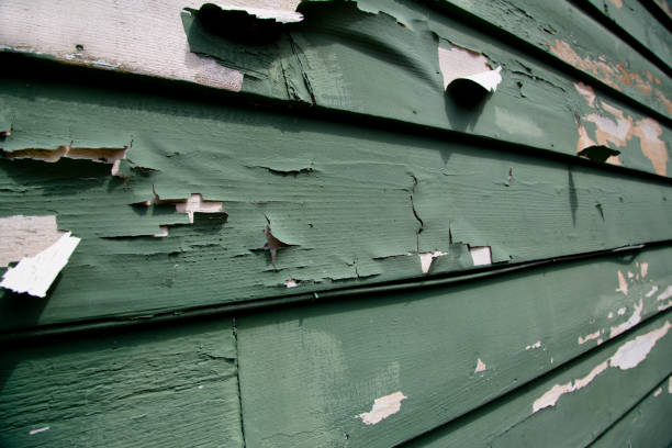 Best Siding Maintenance  in Forestde, AL