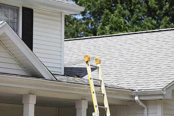 Professional Siding Installation & Repair in Forestdale, AL